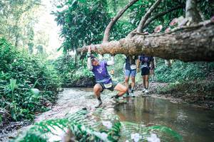 BIB: 
                            <button type="button" onclick="openModal(25443350)" class="btn btn-primary btn-sm float-right btn-popup" data-toggle="modal" data-target=".modal-high-quality">
                        <i class="fas fa-shopping-cart"></i> Add to Cart
                    </button>
                                            <button type="button" onclick="isThisMe(25443350, true)" class="btn btn-success btn-sm float-right btn-popup btn-isme hidden" data-toggle="tooltip" data-placement="bottom" title="นี่คือรูปของคุณใช่ไหม คลิกที่นี่เพื่อเอาเข้าอัลบั้ม">
                        <i class="fas fa-plus"></i> Add to album
                    </button>
                    <button type="button" onclick="isThisMe(25443350, false)" class="btn btn-warning btn-sm float-right btn-popup btn-isnotme hidden">
                        <i class="fas fa-ban"></i> Remove from album
                    </button>